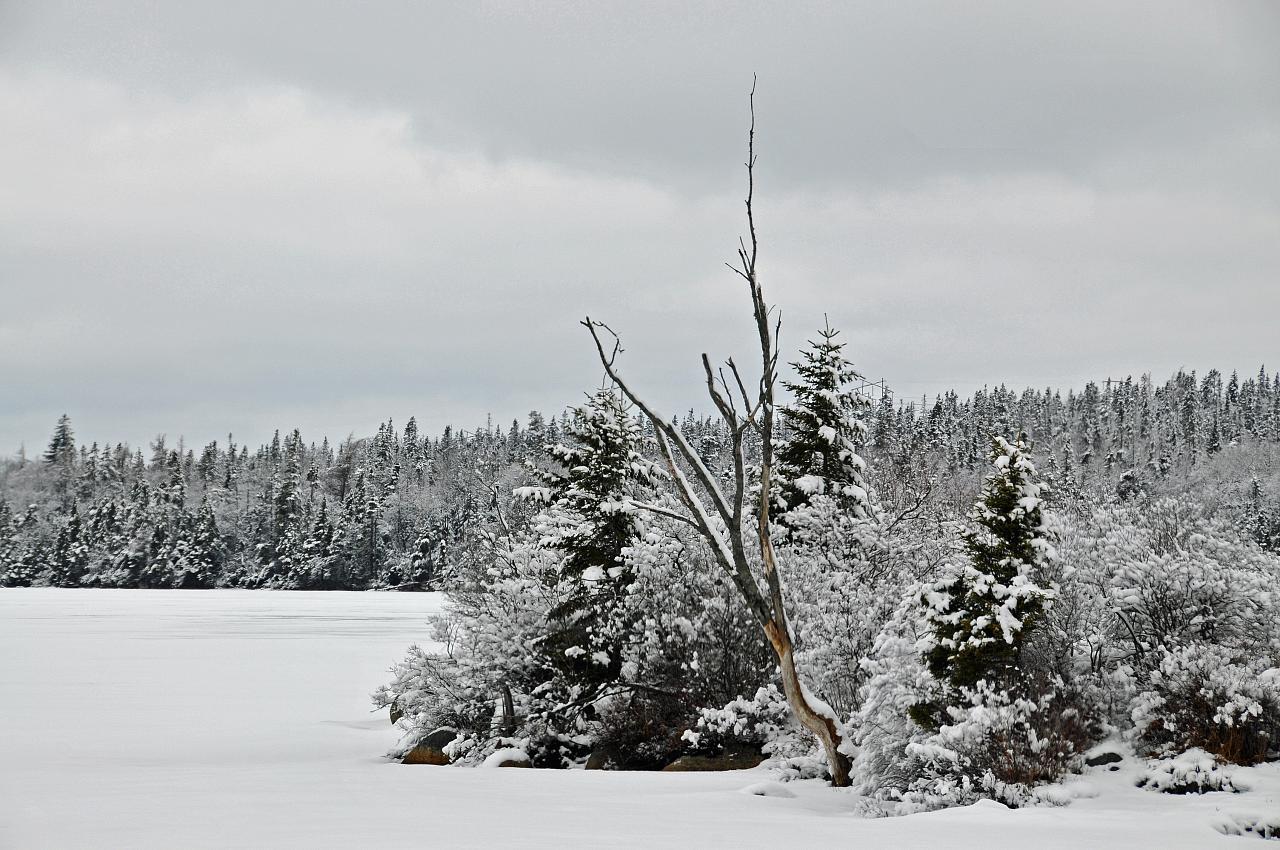 Foto de Dennis Jarvis