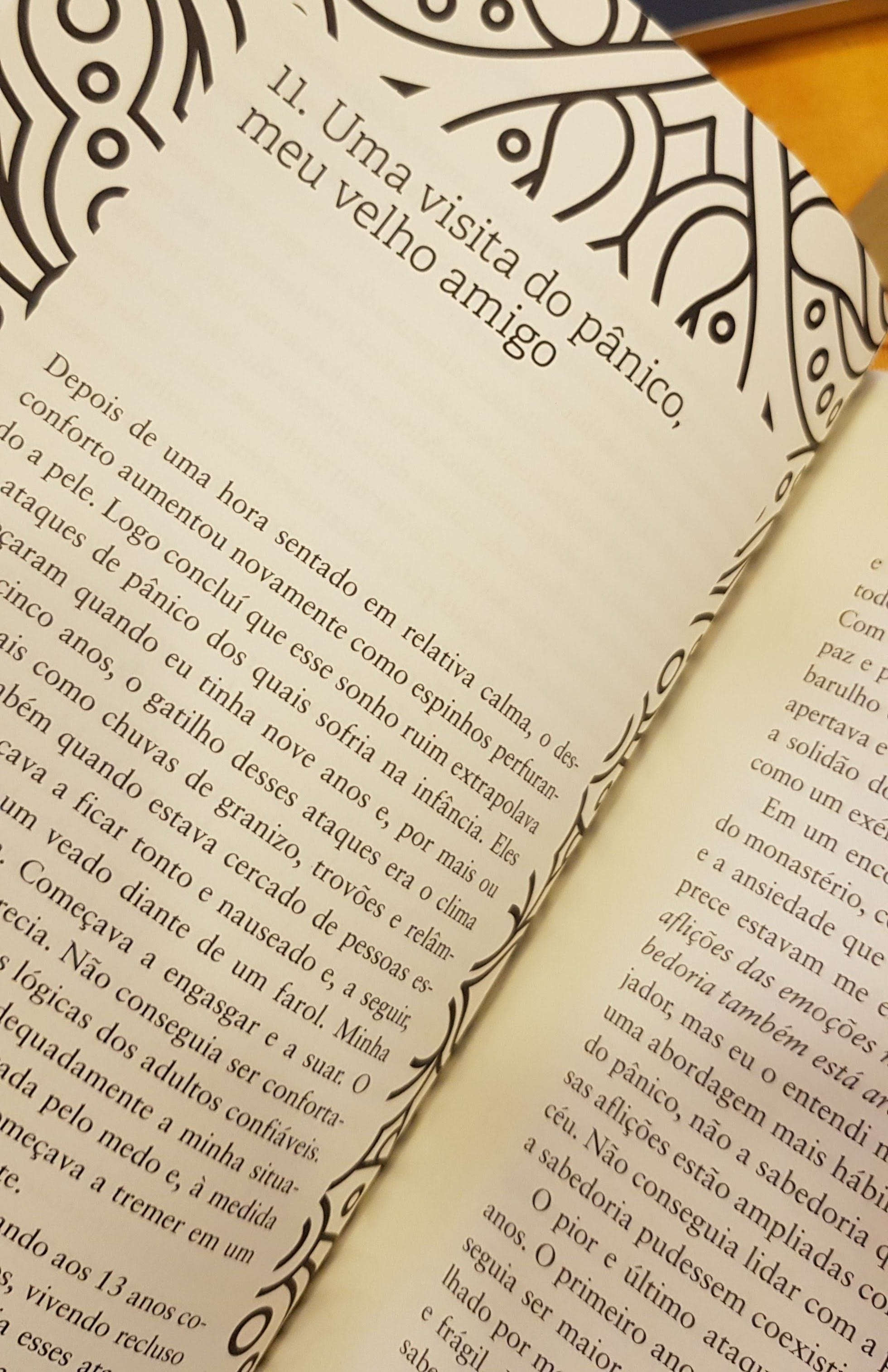 Apaixonado pelo mundo: a jornada de um monge pelos bardos do viver e do morrer