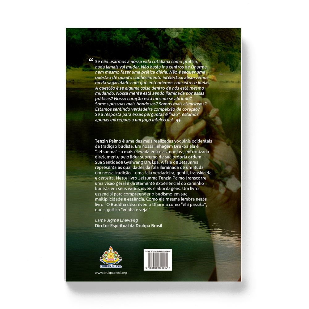 Reflexos em um lago na montanha: Ensinamentos práticos de budismo