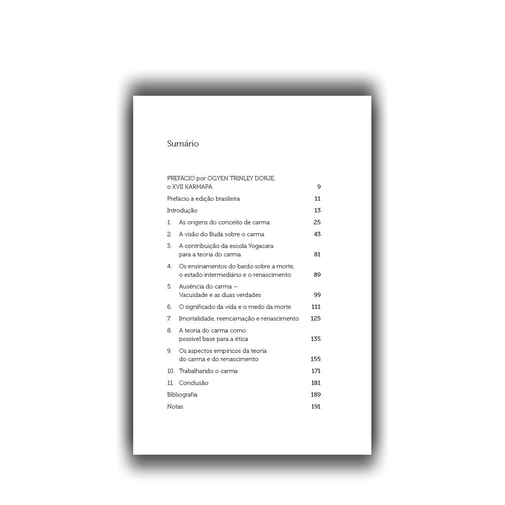 Carma: o que é, o que não é, e sua importância-Lúcida Letra