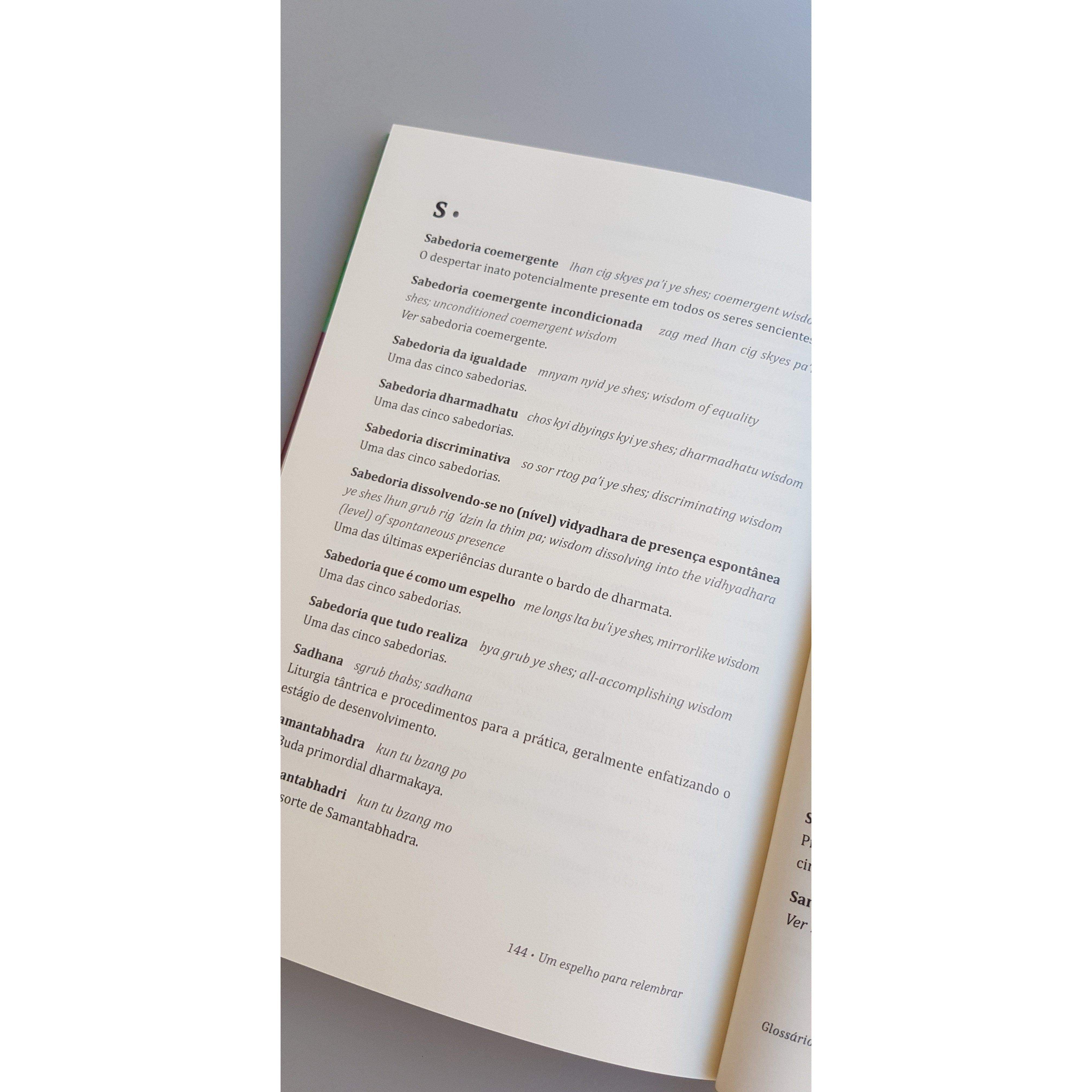 Um espelho para relembrar: esclarecimento dos pontos gerais dos Bardos-Lúcida Letra