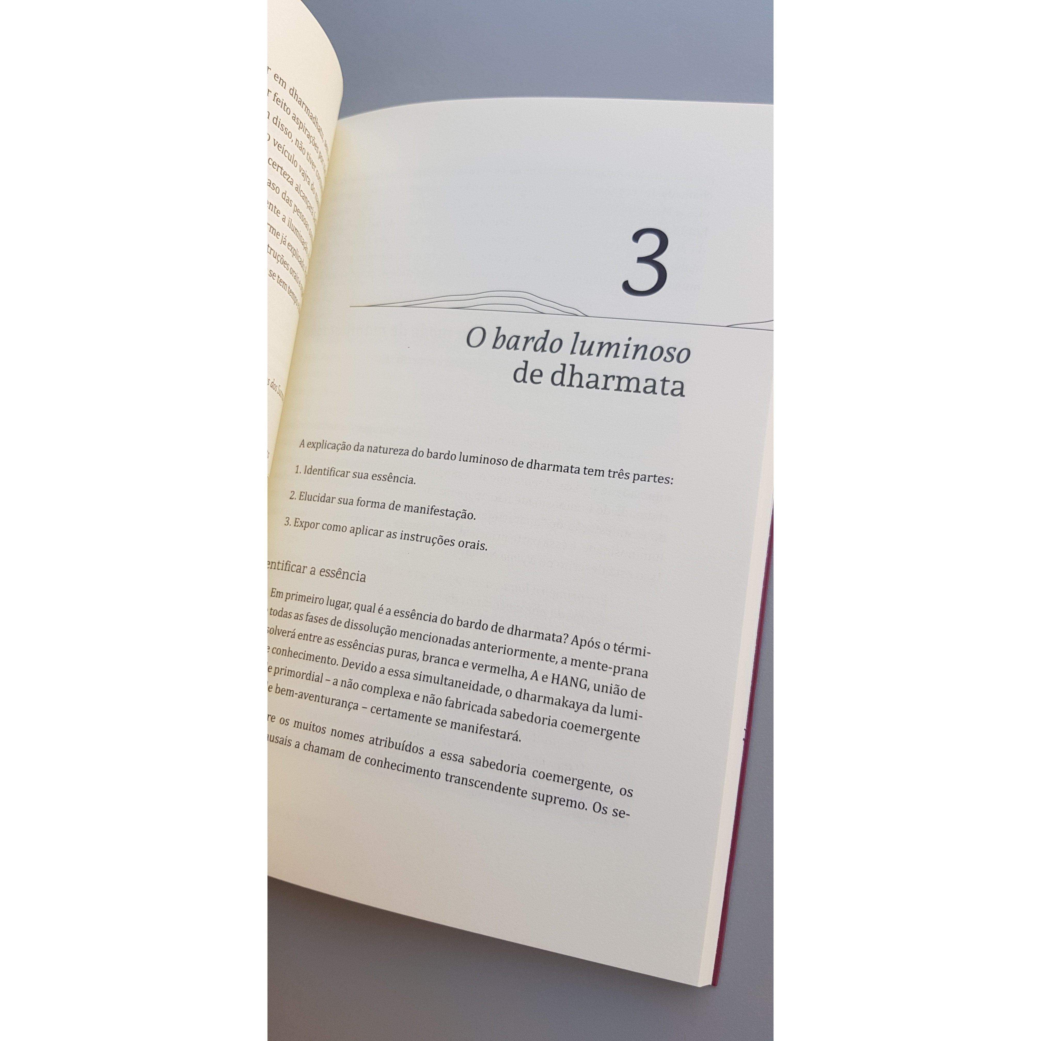 Um espelho para relembrar: esclarecimento dos pontos gerais dos Bardos-Lúcida Letra